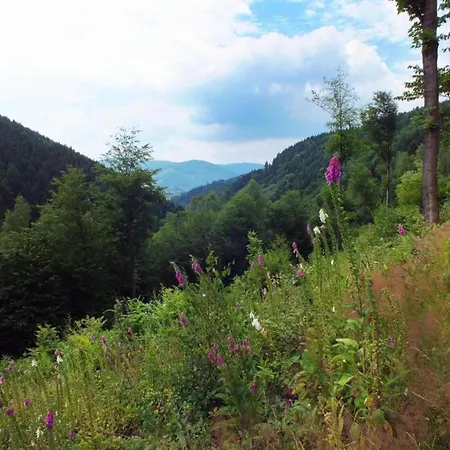 Near Al Ovka Slope, Cleaning Included Casa vacanze Medenec